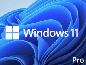 Microsoft Windows 11 Pro 64-bit - License - 1 License - OEM - DVD-ROM - PC