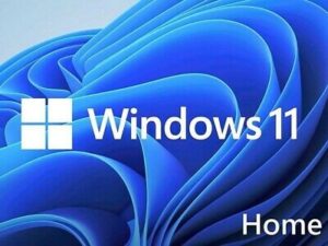 Microsoft Windows 11 Home 64-bit - License - 1 License - OEM - DVD-ROM - PC