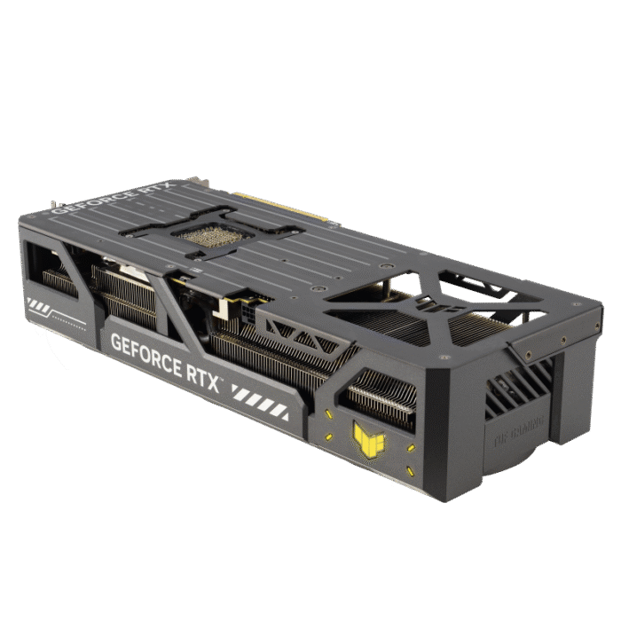 w800-20.png