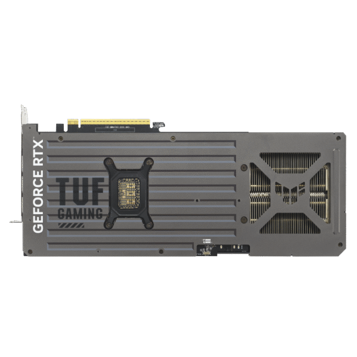w800-8.png